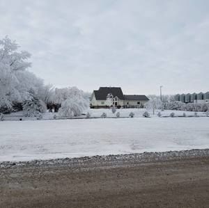 Meet your Posher, Pollyanne